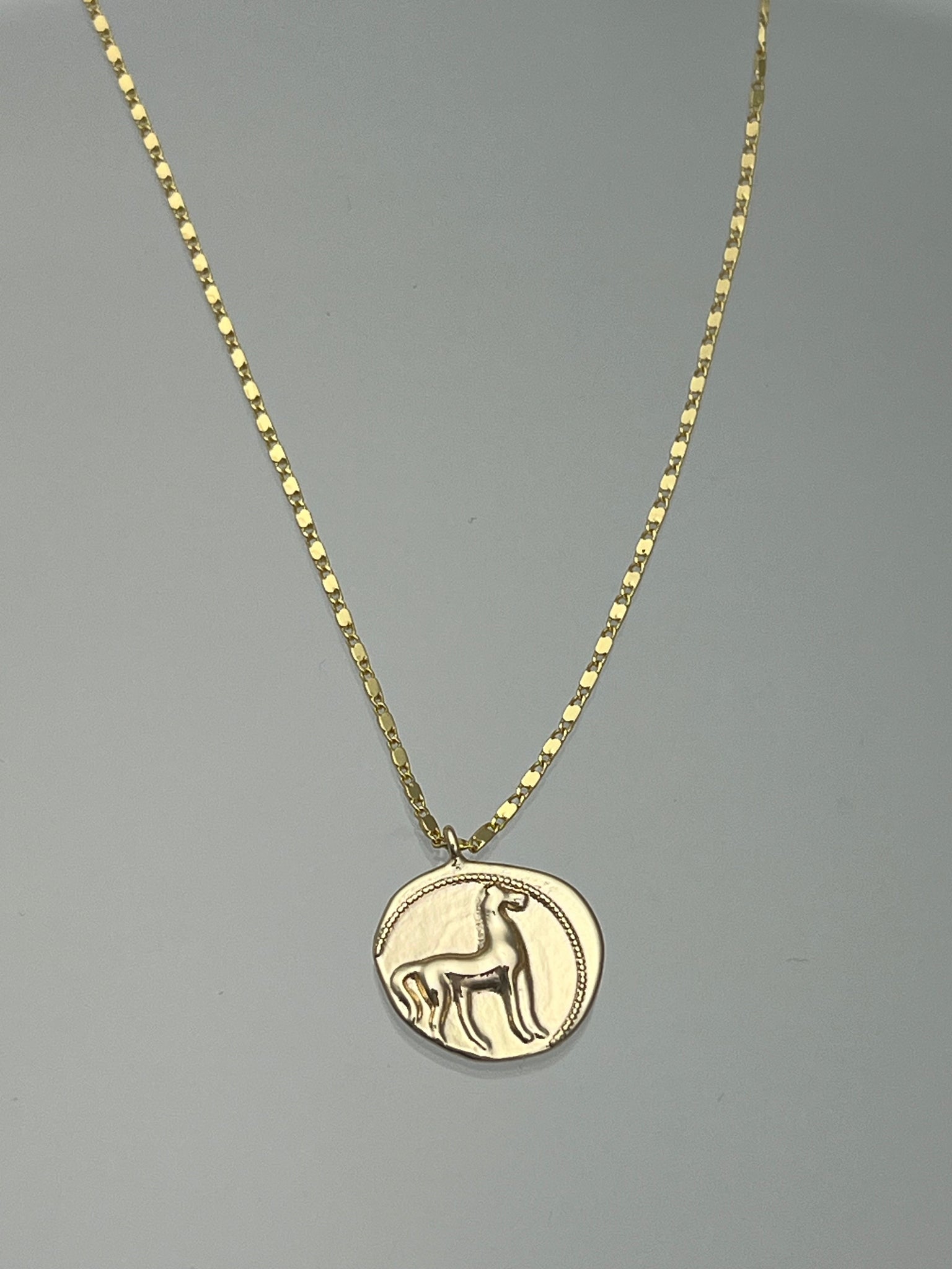 Wild and Free Necklace