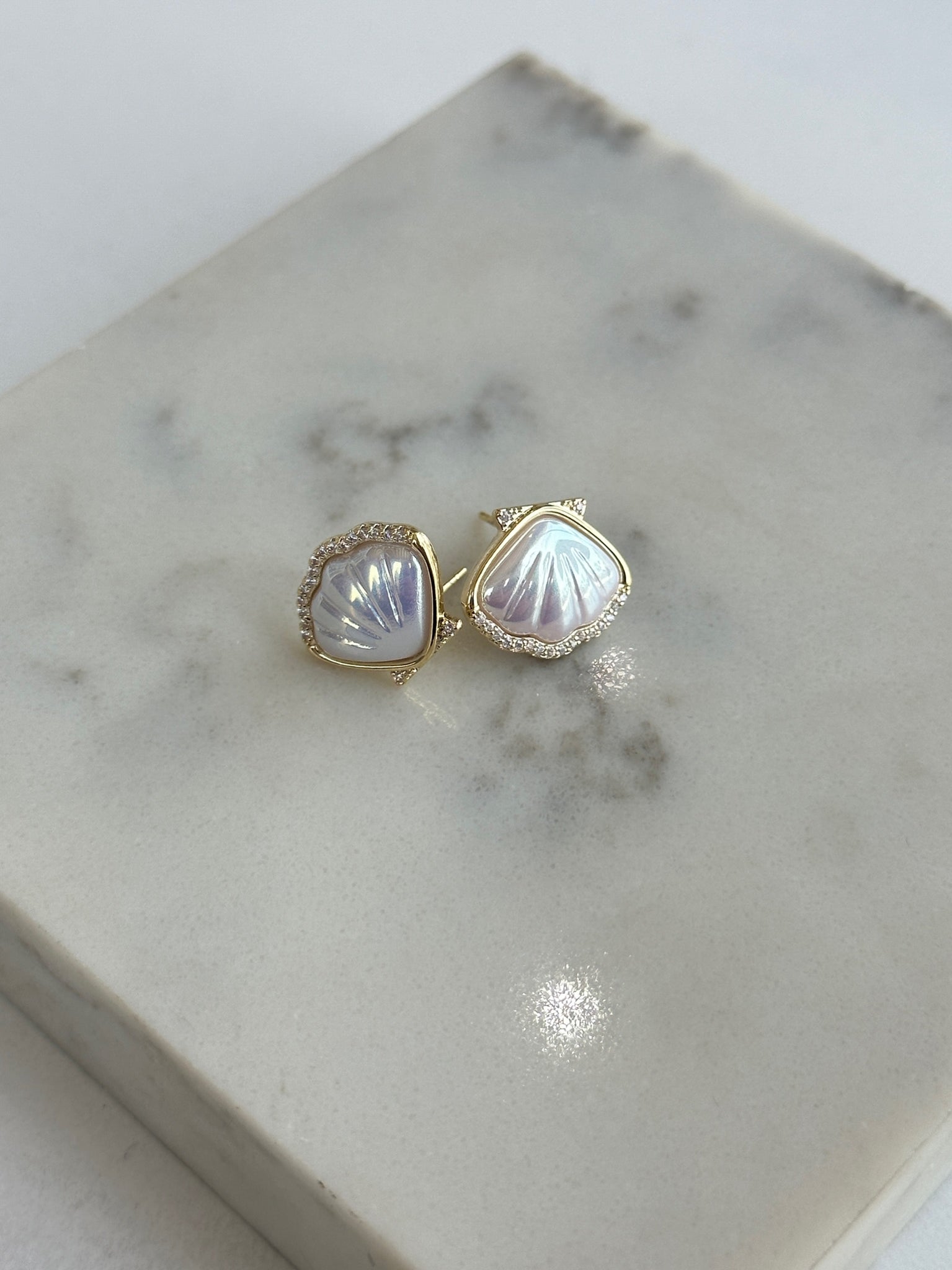 Sea shell stud Earrings